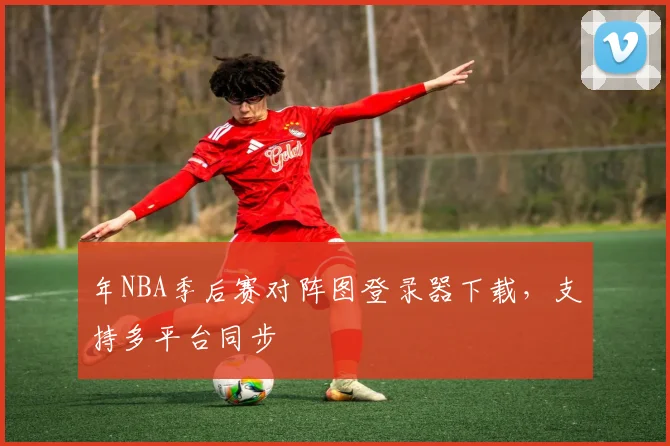 年NBA季后赛对阵图登录器下载，支持多平台同步